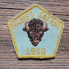 Haines safari 1960 usato  Spedire a Italy