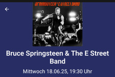 Bruce springsteen konzert gebraucht kaufen  Wetzlar
