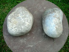 Natur kieselstein flusskiesel gebraucht kaufen  Ehingen (Donau)