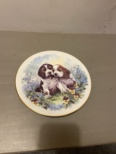 Ditches plate beagle for sale  BANGOR