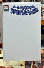 The amazing spider usato  Roma