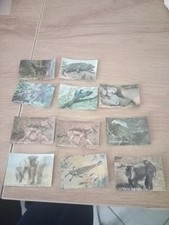 Lot images roche d'occasion  France