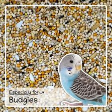Budgie seed mix for sale  LONDON