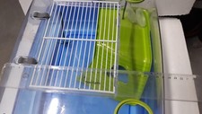Acquario per tartarughe usato  Castenedolo