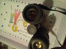 Swarovski x 42 for sale Swarovski x 42 for sale  LOUTH