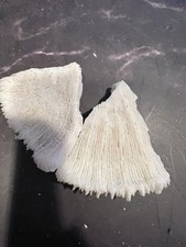 Vintage lot white for sale  Albuquerque