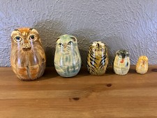 Kitty cat kittens for sale  Austin
