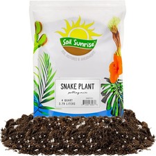 Snake plant potting for sale  Lakewood