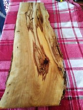 Large live edge for sale  Arpin