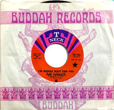 The vandals gonna d'occasion The vandals gonna d'occasion  Villeneuve-Loubet