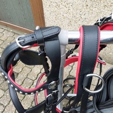 Top einspänner leder gebraucht kaufen  Herten