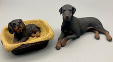 Pair dobermann dog for sale  GOOLE