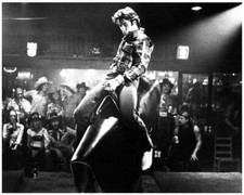 Urban cowboy great for sale  Gilmer