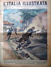 Tribuna italia illustrata usato  Enna