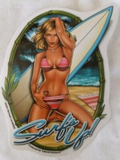 Surfer girl surfs for sale  Port Orange