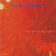 Peter hammill there gebraucht kaufen  Ahlen-Dolberg