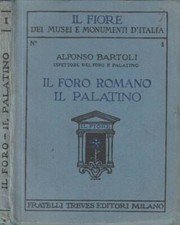 Foro romano palatino. usato  Italia