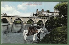 Water carrier horse for sale  HAYWARDS HEATH