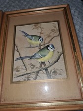 Two maynard blue for sale  PETERBOROUGH
