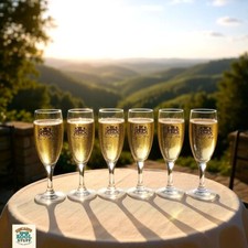 Crystal champagne sparkling for sale  Bridgeton