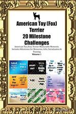 American toy fox for sale  ROSSENDALE