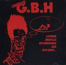 Leather bristles survivors gebraucht kaufen Leather bristles survivors gebraucht kaufen  Berlin