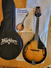 Acoustic mandolin string for sale  Farmington