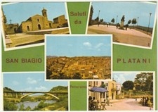 San biagio platani usato  Isola Vicentina