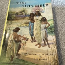 Holy bible illustrated for sale  BARNSTAPLE