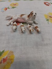 spaniel springer for sale spaniel springer for sale Fort Wayne