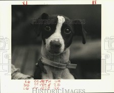 1985 press photo for sale  Memphis