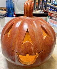 Jack lantern pumpkin for sale  Summerton