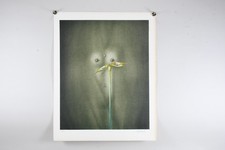 farblithografie gebraucht kaufen farblithografie gebraucht kaufen Neu-Ulm