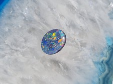 Schöne australische pal gebraucht kaufen Schöne australische pal gebraucht kaufen  Schweitenkirchen