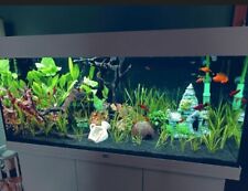 Juwel aquarium rio gebraucht kaufen  Hameln