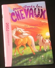 Livres amis chevaux d'occasion  Téteghem