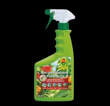 Compo grün blühpflanzen gebraucht kaufen  Süderlügum
