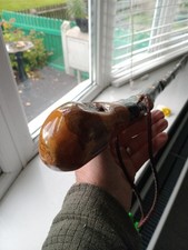 PUNHO DE CAMINHADA IRLANDÊS BLACKTHORN 54 POLEGADAS DE COMPRIMENTO SUPER ROOTBALL EM 3X2 comprar usado  Enviando para Brazil