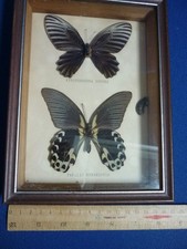 Two mounted framed for sale  ALTON