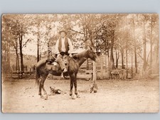 C1910 man horse for sale  Santa Ana
