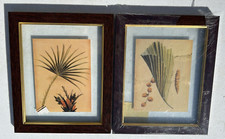 Vintage palm fronds for sale  Smartsville