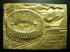 Placca premio internazionale usato  Sermide e Felonica