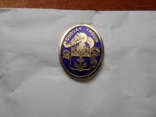 Rare pin militaire d'occasion  Brest