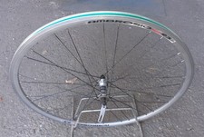Ruota anteriore corsa usato  San Donato Milanese