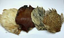 Plumes capes coq d'occasion  Expédié en France