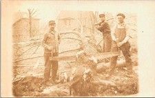 Rppc logging scene for sale  San Antonio