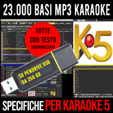 Pendrive 256 basi usato  Roma