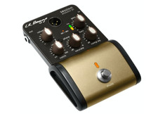 Baggs session acoustic for sale  CAMBRIDGE