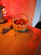 Seltener alter korb gebraucht kaufen  Nagold