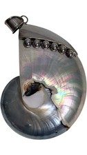Nautilus shell pendant for sale  UK